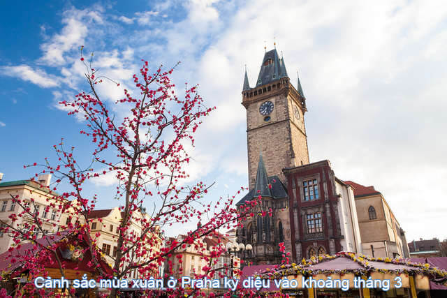 Cảnh sắc mùa xuân ở Praha kỳ diệu vào khoảng tháng 3