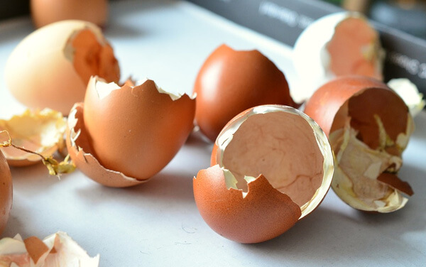 Vỏ trứng làm sạch cặn bình