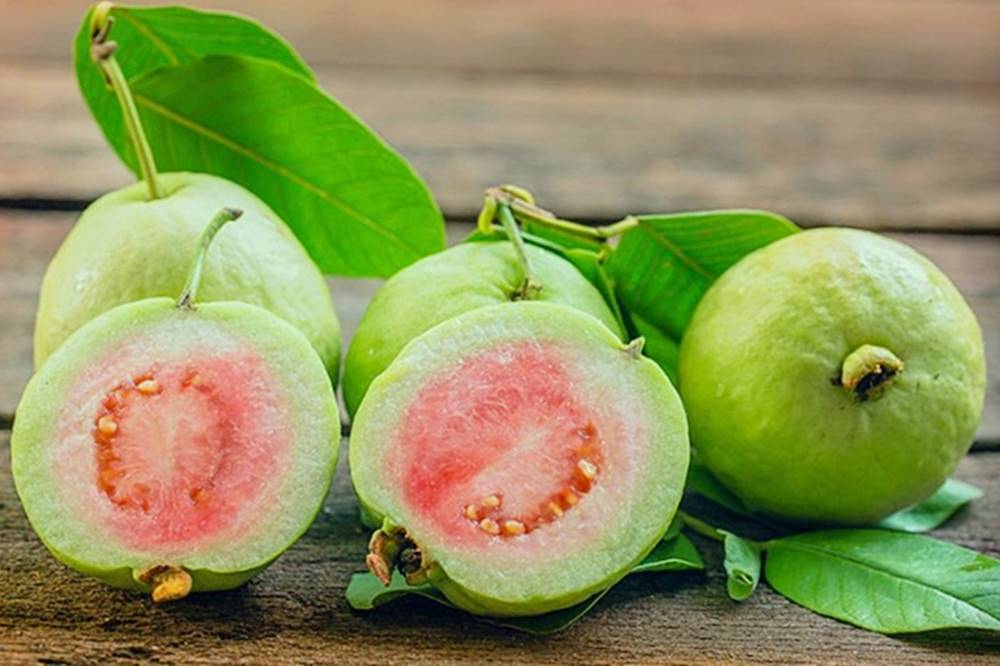 Ổi là loại trái cây nhiệt đới, phổ biến tại Việt Nam