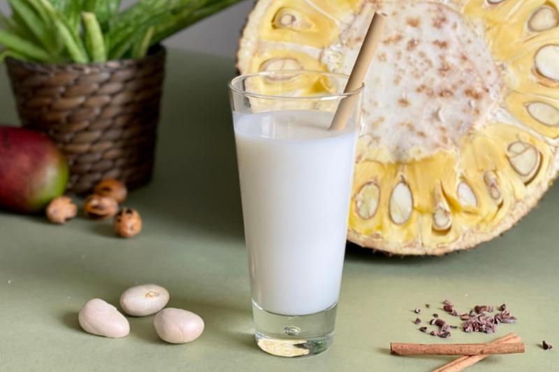 Cách làm sữa hạt mít giàu dinh dưỡng nhanh chóng bằng máy làm sữa hạt
