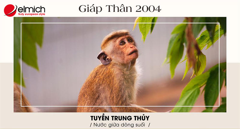 Hình 1: Nam, nữ sinh năm 2004 là tuổi Giáp Thân, là năm con khỉ