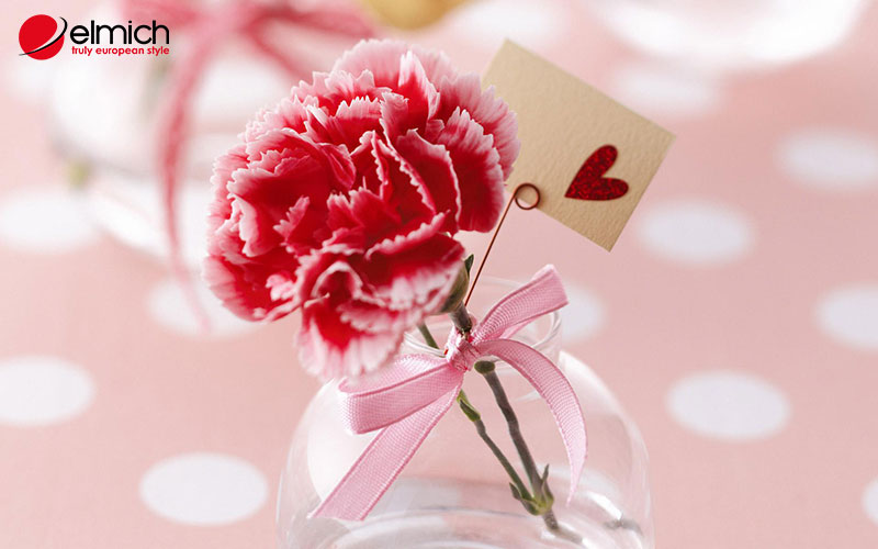 Hình 1: Hoa cẩm chướng với vẻ đẹp mong manh và quyến rũ