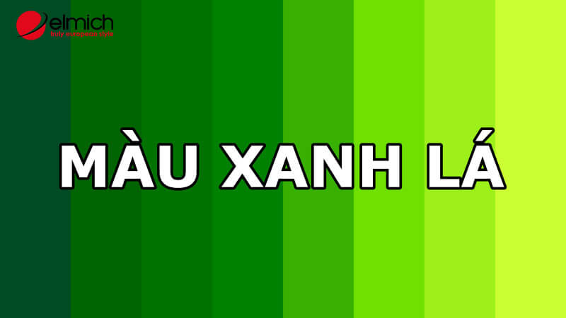 Hình 8: Tuổi Tý mệnh Thổ kỵ màu xanh lá cây