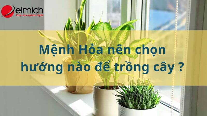 Hình 14: Hướng tốt nhất để người mệnh Hỏa trồng cây