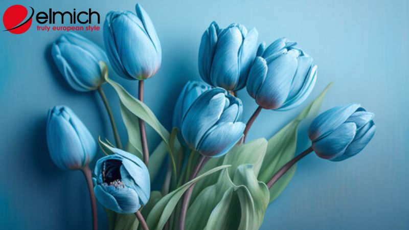 Hình 9: Tulip xanh độc đáo và khác biệt so với các giống hoa khác