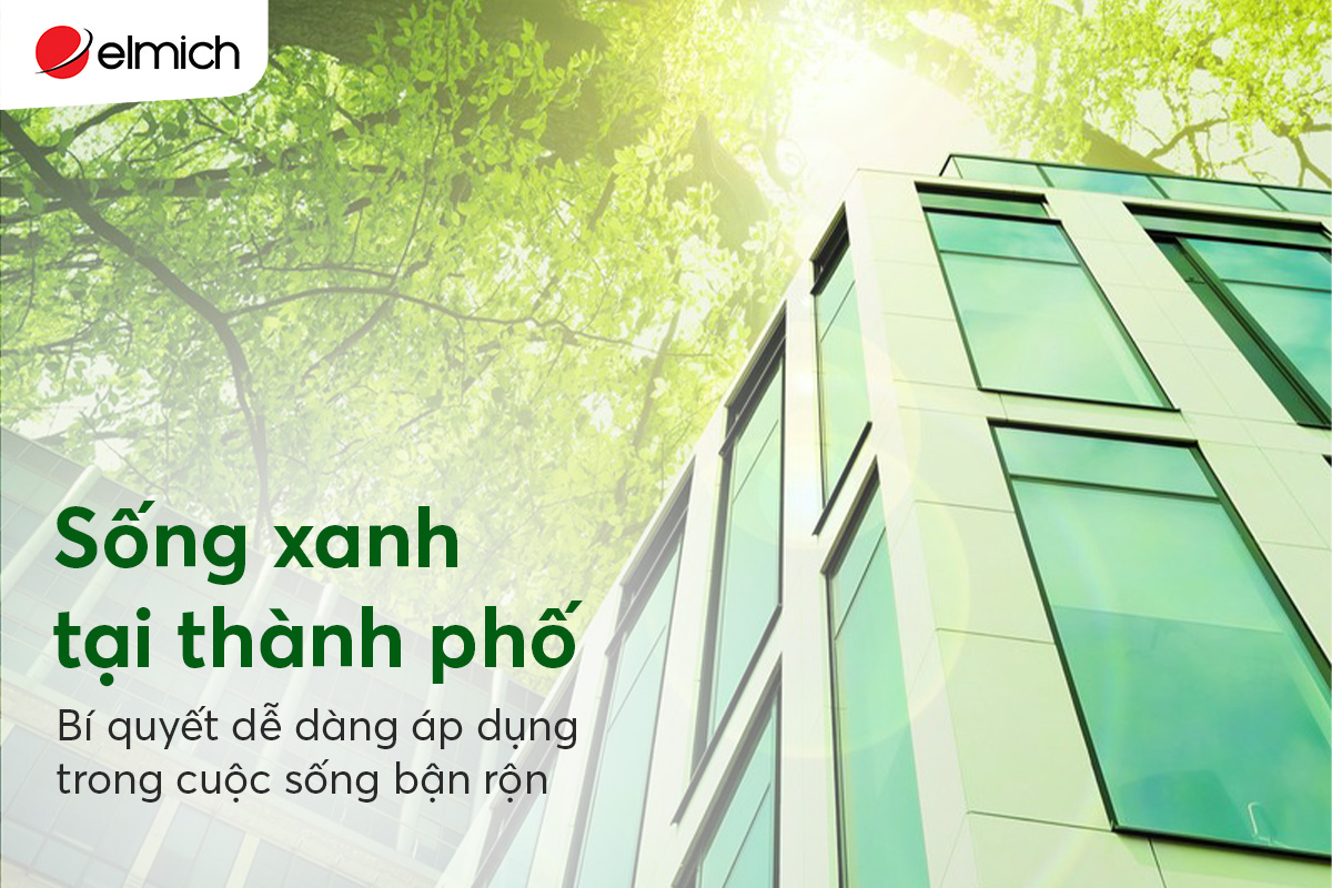 Sống xanh tại thành phố: Bí quyết dễ dàng áp dụng trong cuộc sống bận rộn