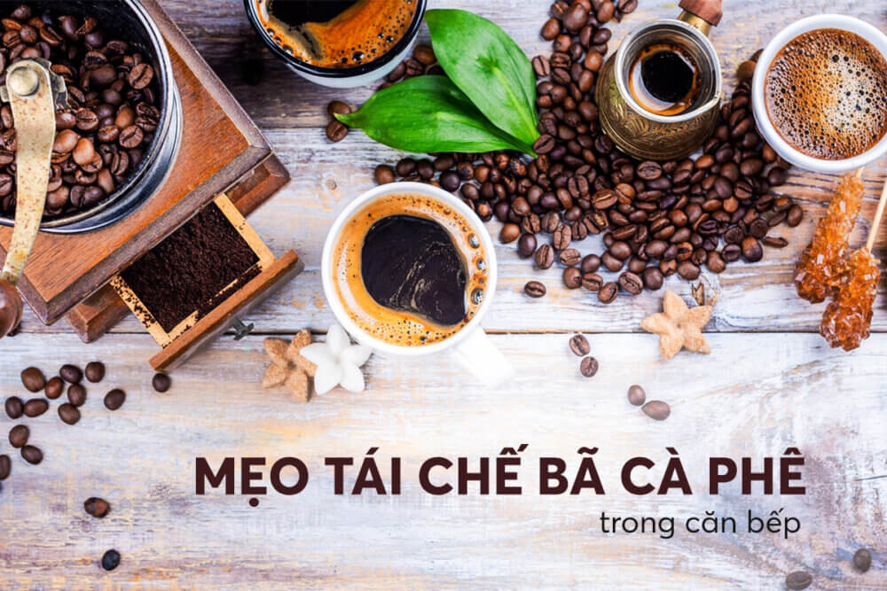 Mẹo tái chế bã cà phê trong căn bếp