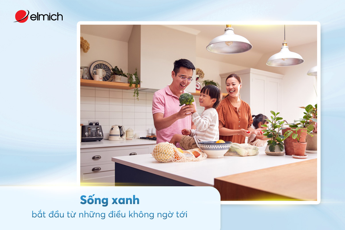 Sống xanh bắt đầu từ những điều không ngờ tới – Đừng bỏ đi nước vo gạo, vỏ trứng, bã cà phê