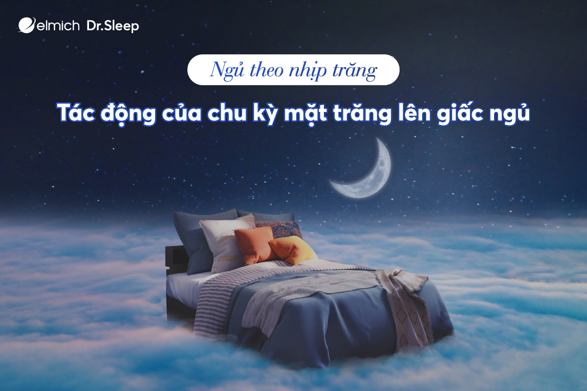 Ngủ theo nhịp trăng – Tác động của chu kỳ mặt trăng lên giấc ngủ