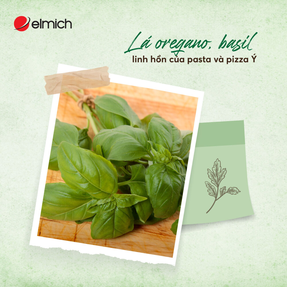 Gia Vị Châu âu 05