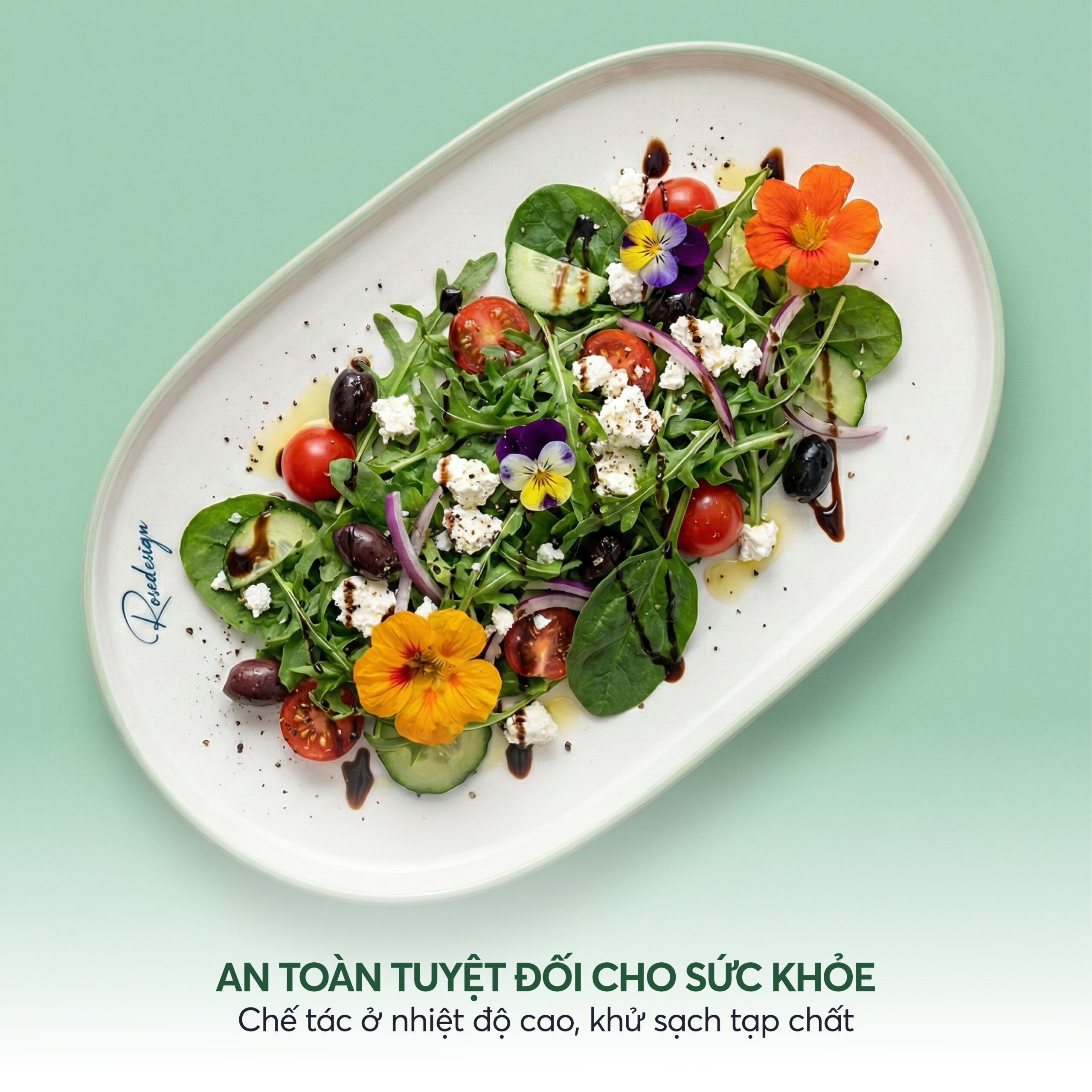 2320219pg đĩa Bầu Dục To 04