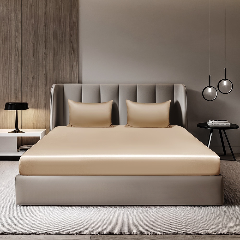 Bộ Ga Gối 100% Tencel ETS07