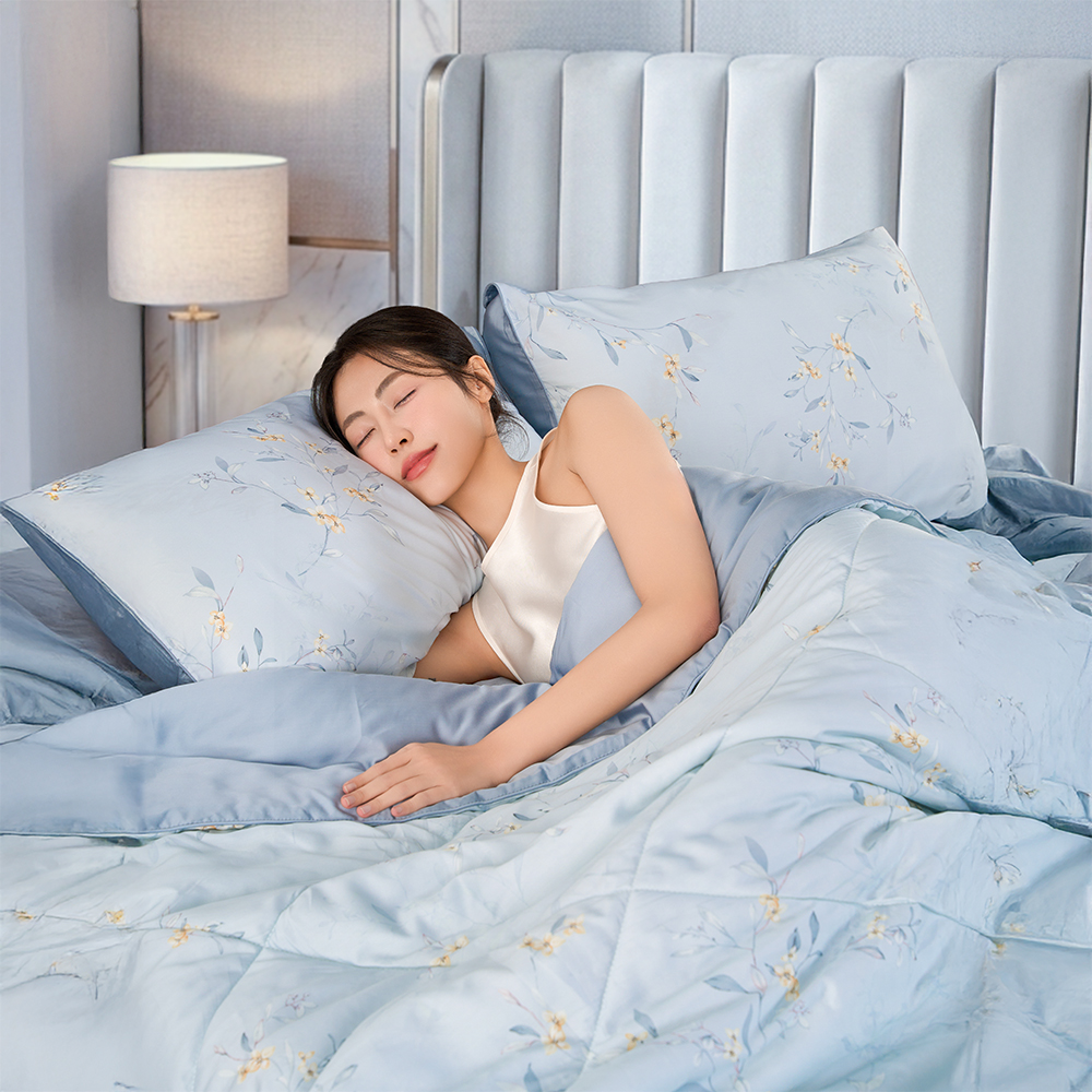 Bộ Chăn Ga Gối 100% Tencel 300T ETP06